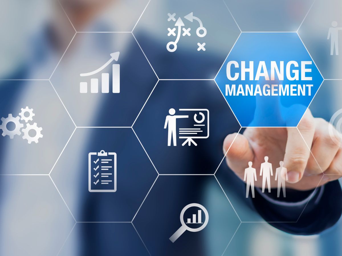 Change Management Consultants
