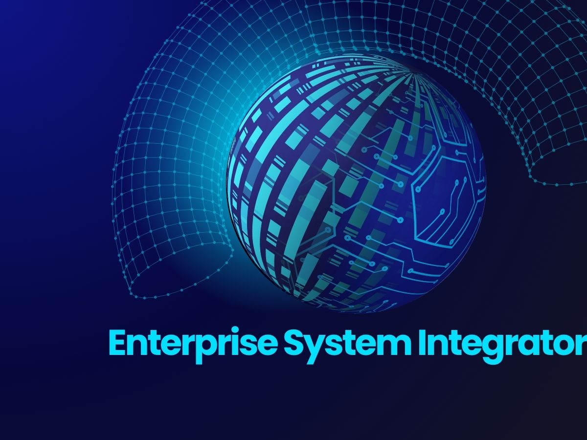 enterprise system integrator