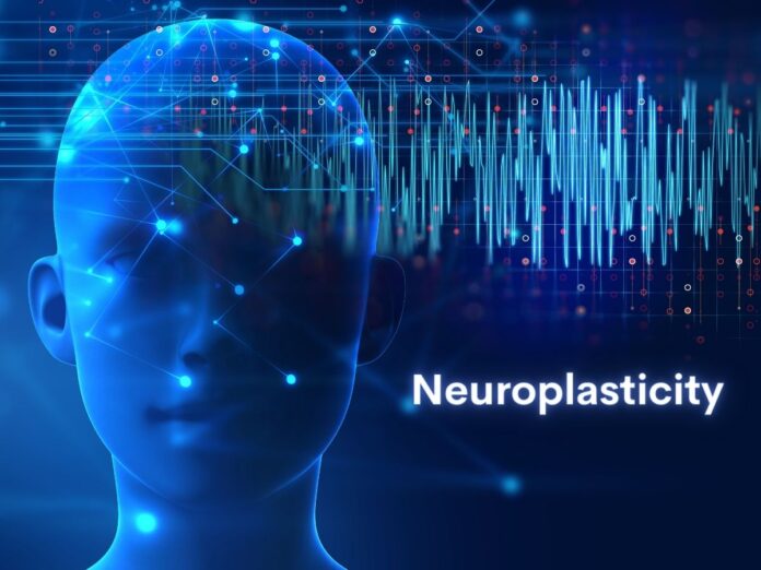 Neuroplasticity Exercises for Team Building