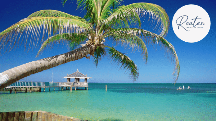 C-Suite Level Corporate Wellness Retreats